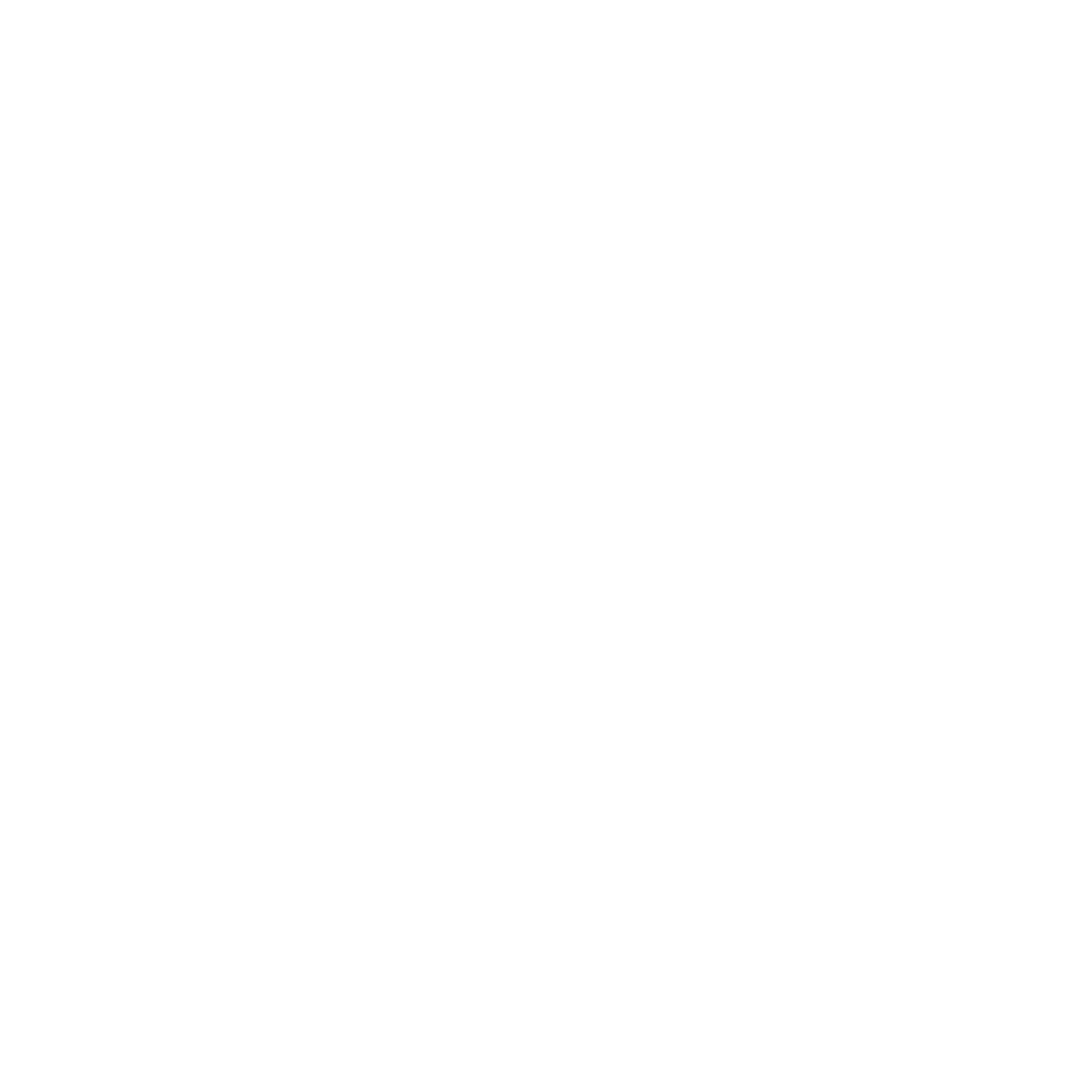 PARTNERSHIPS_1