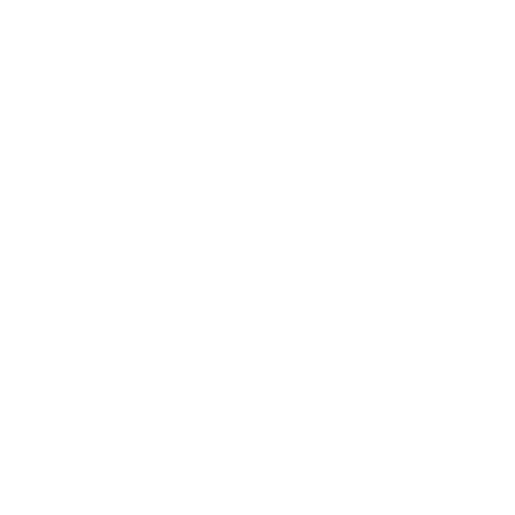 PARTNERSHIPS_3