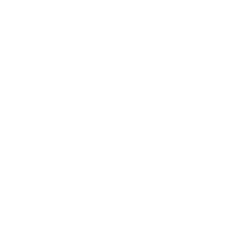 PARTNERSHIPS_4