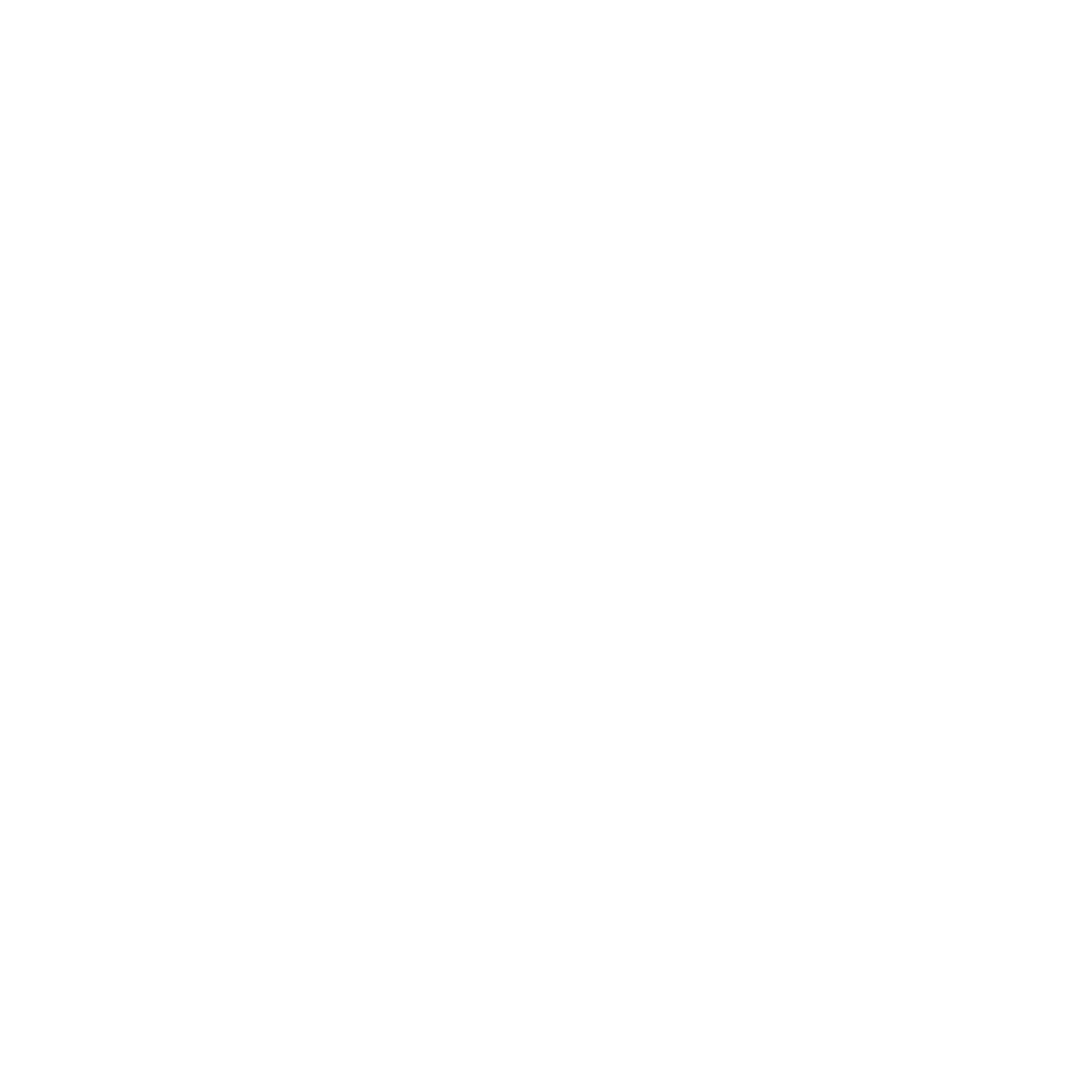 PARTNERSHIPS_5