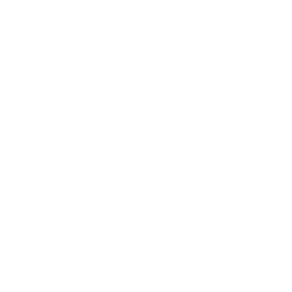 PARTNERSHIPS_6