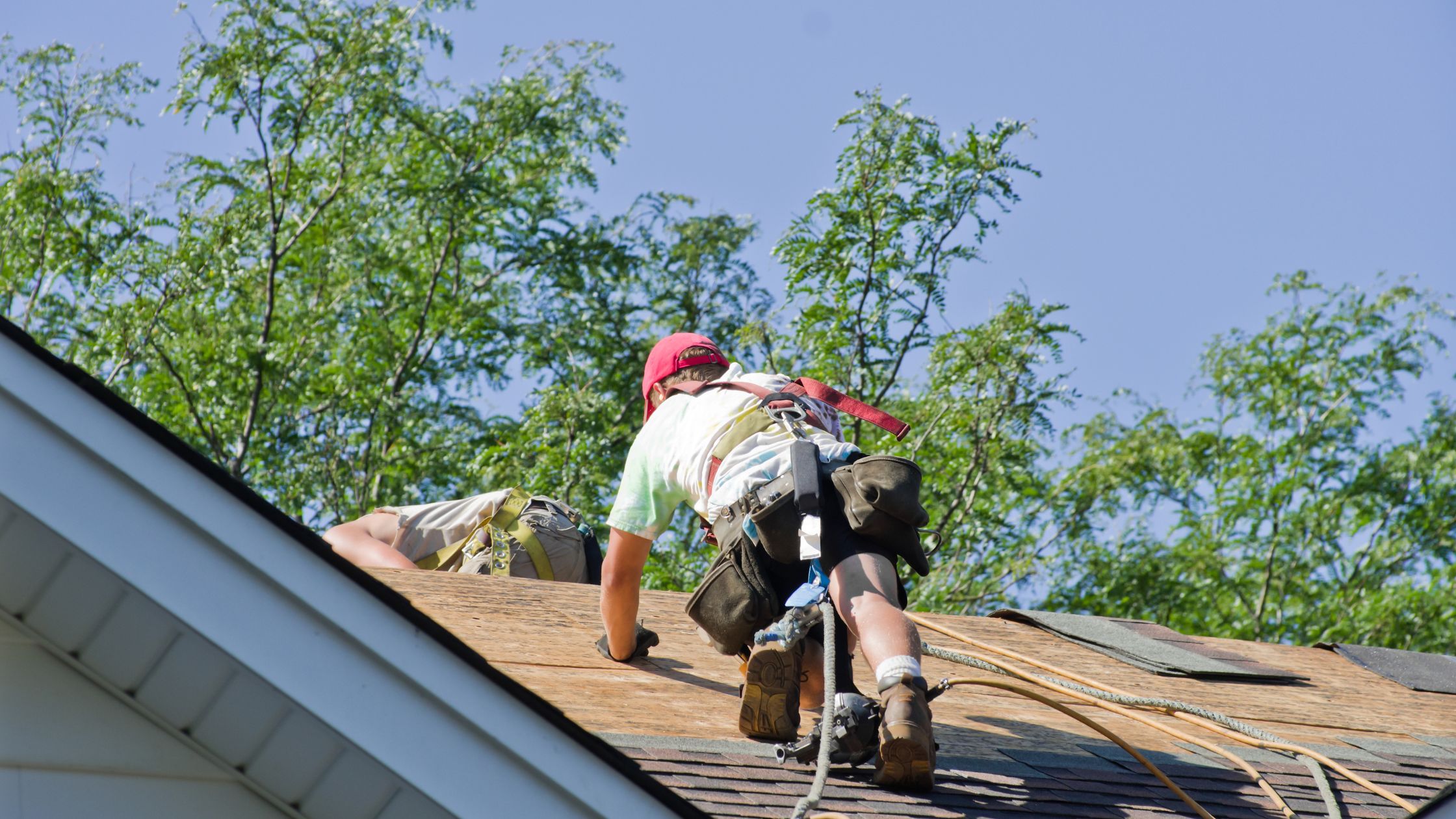 7 Questions to Ask a Single Ply Roofing Contractor Before Signing