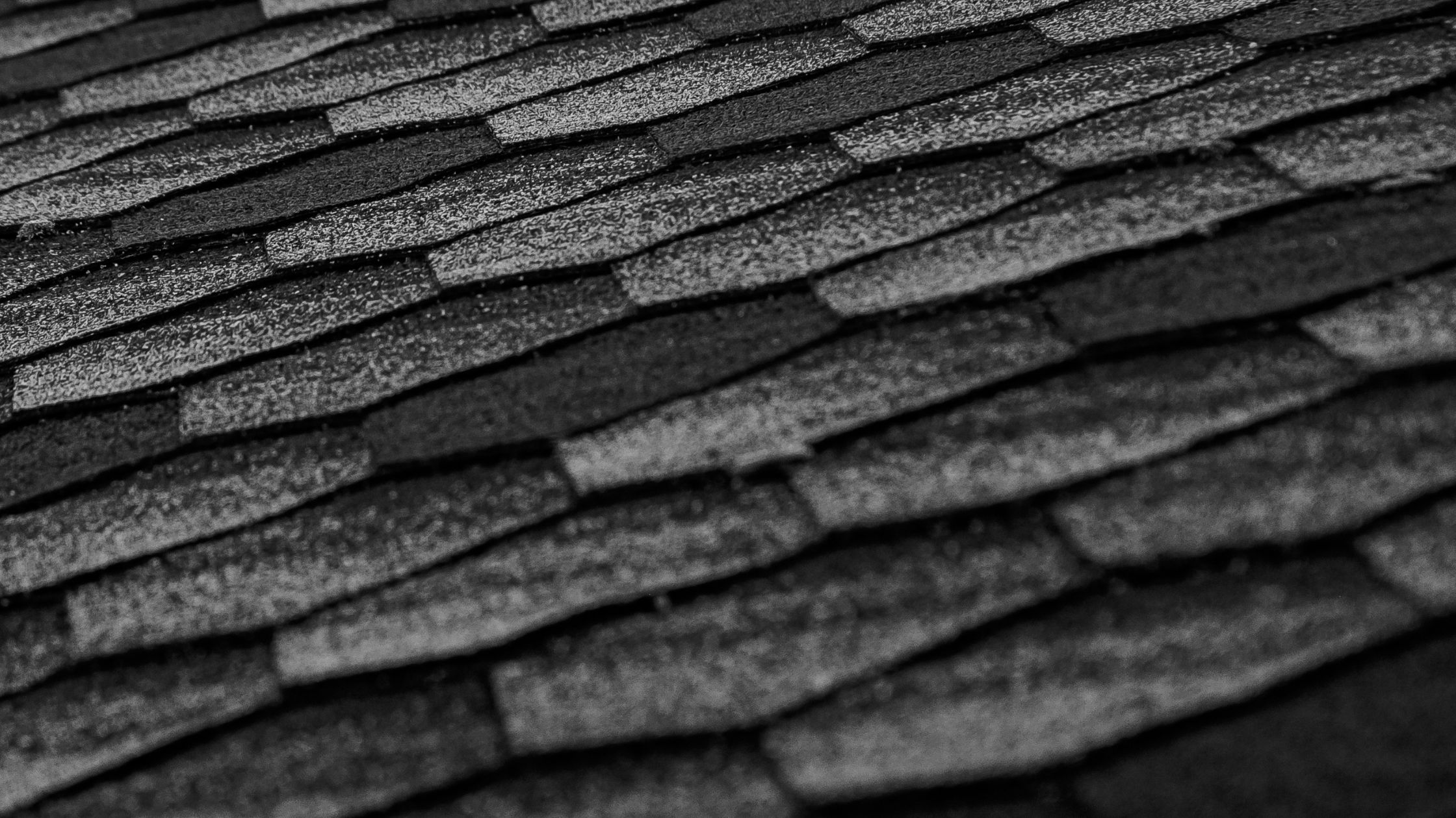 What Are the Best Residential Roofing Shingles in 2026?